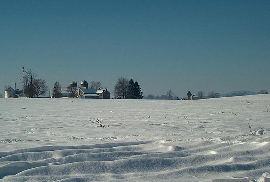 Oley Township